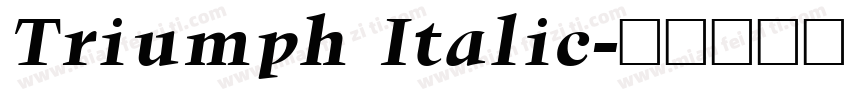 Triumph Italic字体转换